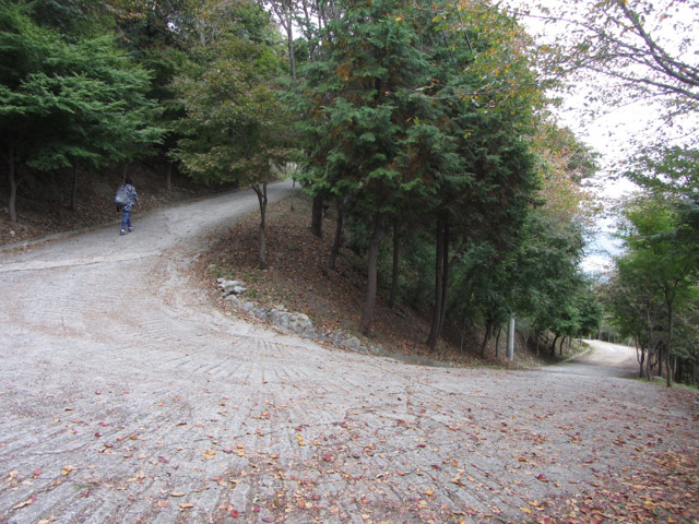 韓國釜山 天魔山、天魔山雕像公園登山路