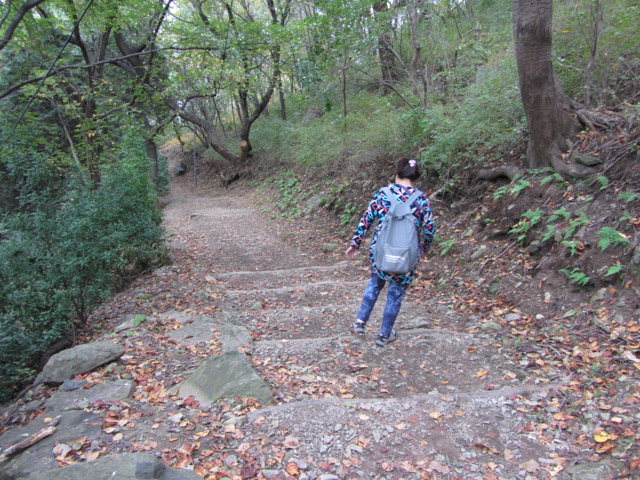 韓國釜山 天馬山路 (천마산로) 往天魔山山頂 登山路