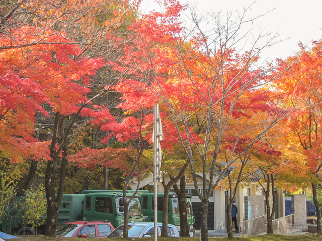 韓國大邱 八公山 秋天紅葉景色