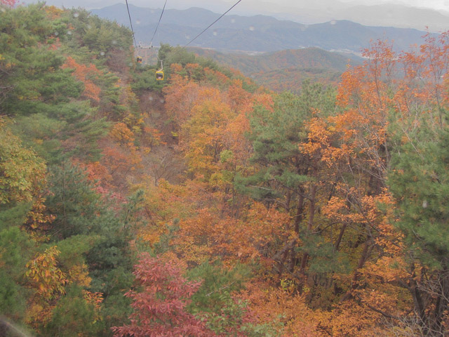 韓國大邱 八公山秋天紅楓葉景色