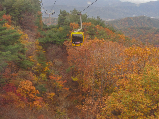 韓國大邱 八公山乘纜車看秋天紅楓葉景色