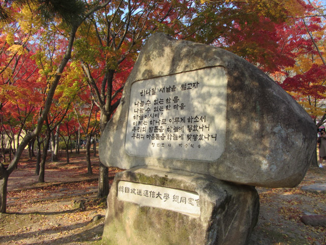 韓國大邱八公山 桐華寺前公園秋天紅楓葉樹林景色