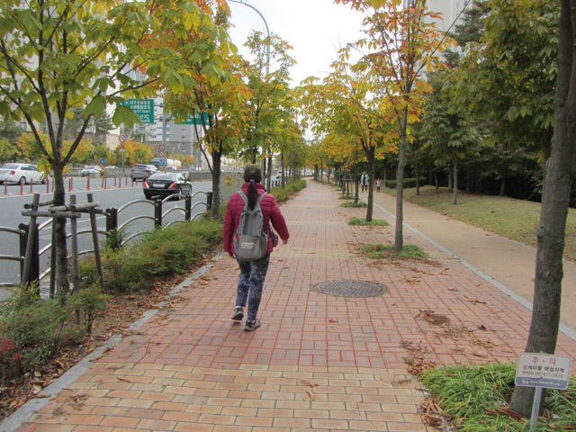 韓國大邱 步行往鳳舞公園
