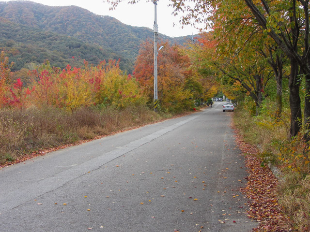 韓國慶山盤谷池附近漂亮紅葉