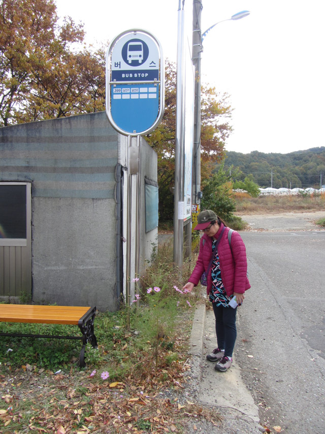 韓國慶山上大溫泉酒店(상대온천)巴士總站