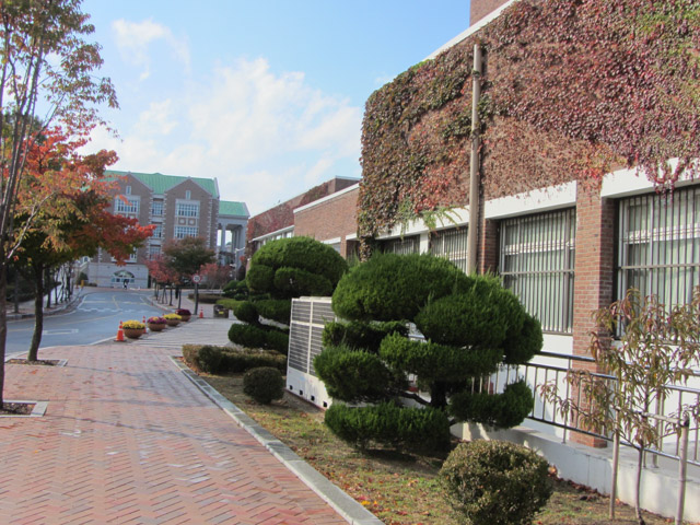 大邱啟明大學城西校區 佈滿藤蔓的紅磚校舍
