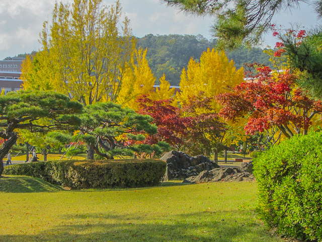 韓國慶尚北道 慶山市 盤谷池附近漂亮的紅紅黃黃樹林