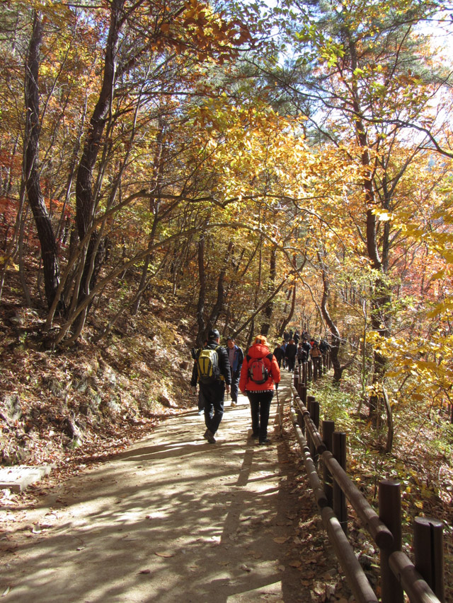 韓國周王山國立公園健行步道 秋天紅葉景色