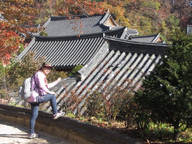 韓國榮州 浮石寺 秋天 黃銀杏、紅葉漂亮景色
