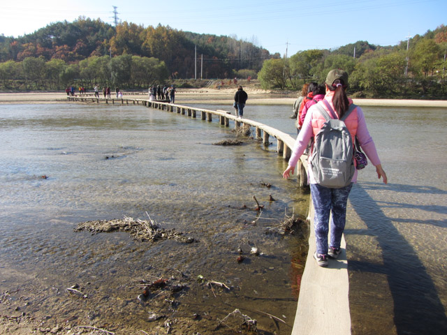 韓國榮州水島村獨木橋