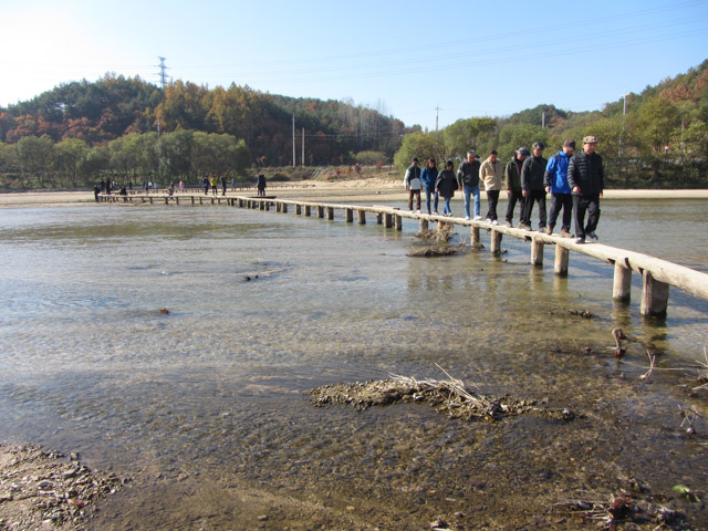 韓國榮州水島村 橫躺西川兩岸的獨木橋
