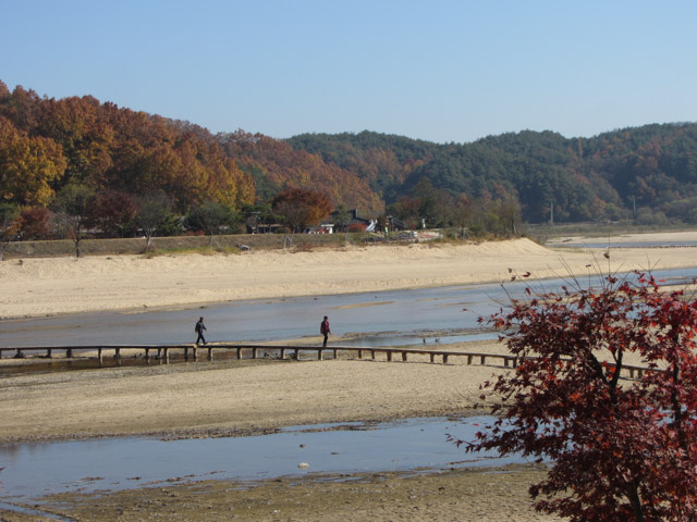 韓國榮州水島村 橫躺西川兩岸的獨木橋