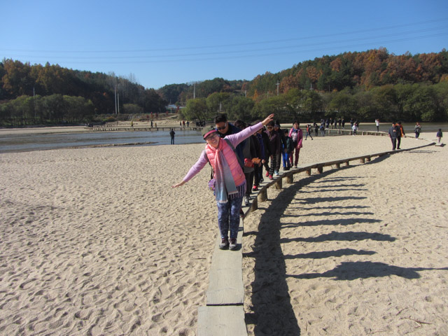 韓國榮州水島村 獨木橋