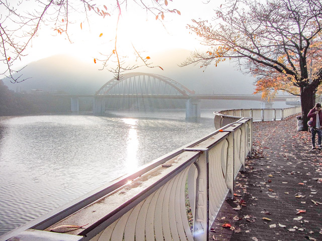 韓國丹陽 南漢江、古藪橋 (고수교) 秋天 紅楓葉 清晨景色