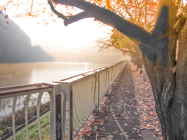 韓國丹陽 南漢江、古藪橋 (고수교) 秋天 紅楓葉 清晨景色
