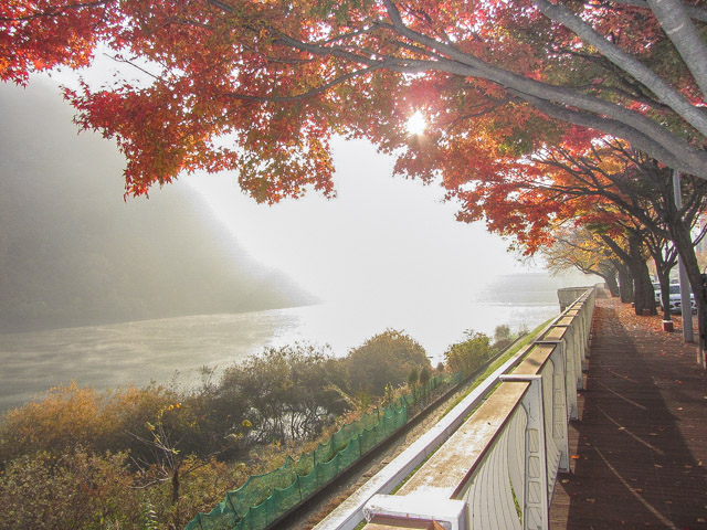 韓國丹陽 南漢江 秋天 紅楓葉 清晨景色