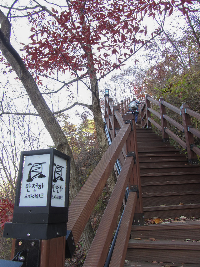 韓國丹陽市第五條散步道 萬川下Skywalk 步行到丹陽青苔路(단양 이끼터널)