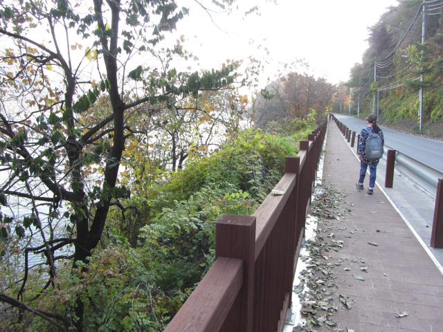 韓國丹陽 第五條散步道 步行到丹陽青苔路(단양 이끼터널)