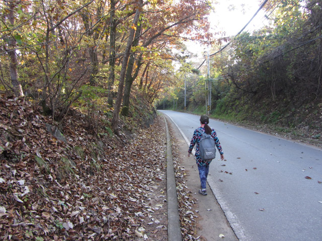 韓國丹陽 第五條散步道 步行到丹陽青苔路(단양 이끼터널)