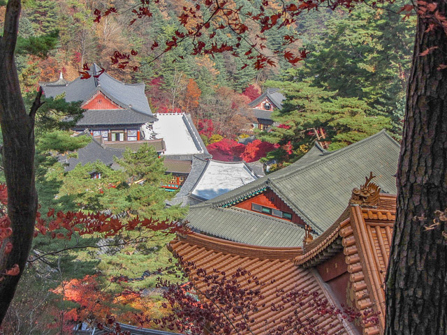韓國丹陽 小白山谷中的 救仁寺 秋天紅葉景色
