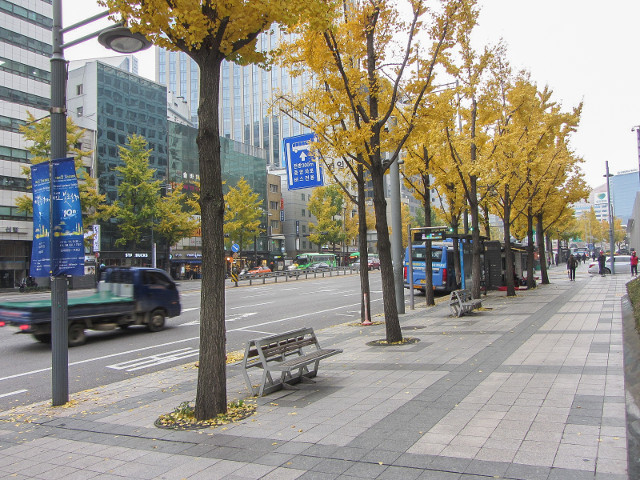 韓國首爾秋天街景
