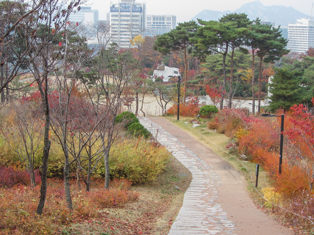 韓國首爾南山公園 白凡廣場 秋天紅葉景色