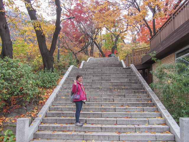 韓國首爾南山公園 南山登山口 秋天紅葉漂亮景色
