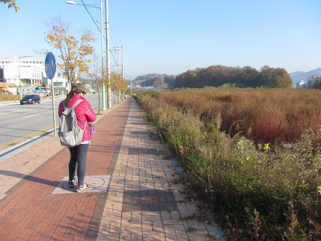韓國榮州市 步行往榮州綜合客運站