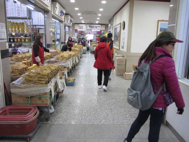 韓國榮州 豐基人參市場 (풍기토종인삼시장 Punggi Ginseng Market)