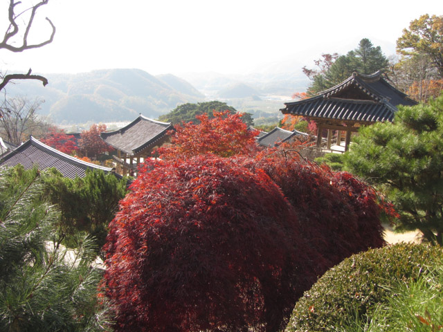 韓國榮州浮石寺 應真殿、慈忍堂登山路