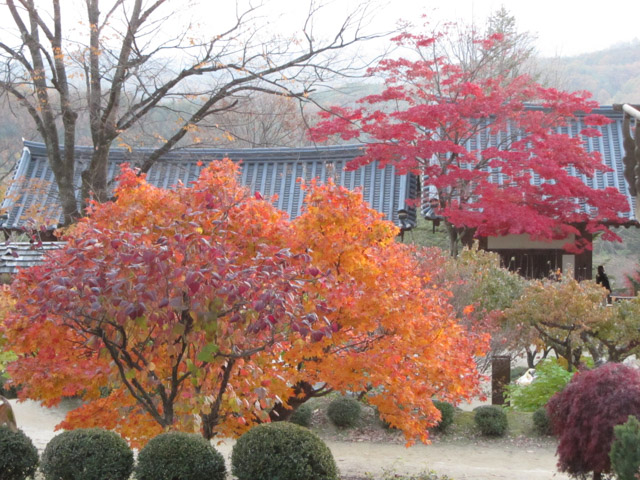 榮州浮石寺 秋天紅葉風景