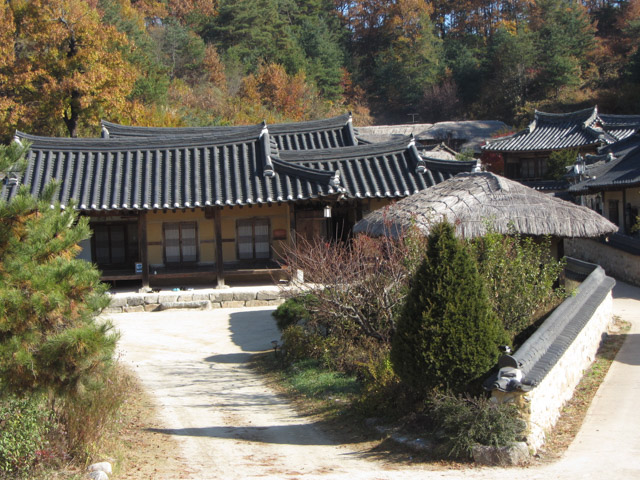 韓國榮州 水島村 (무섬마을 Yeongju Museom Village) 秋天紅葉景色