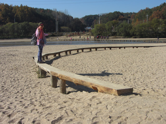 韓國榮州水島村 (무섬마을 Yeongju Museom Village) 獨木橋(외나무다리 Single Log Bridge)