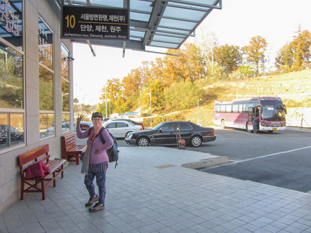 韓國榮州綜合客運站 搭乘巴士月台