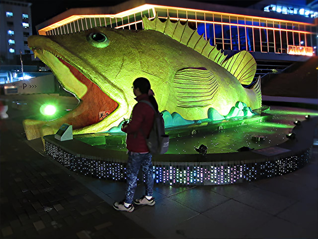 韓國丹陽水族館 燈光璀璨夜色