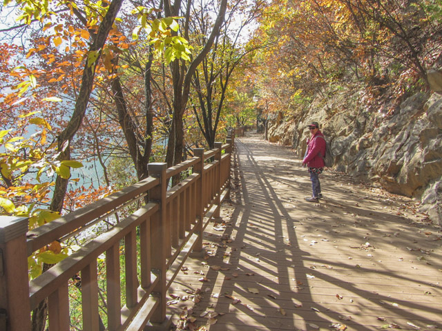 韓國丹陽南漢江畔第四散步道 秋天紅葉景色