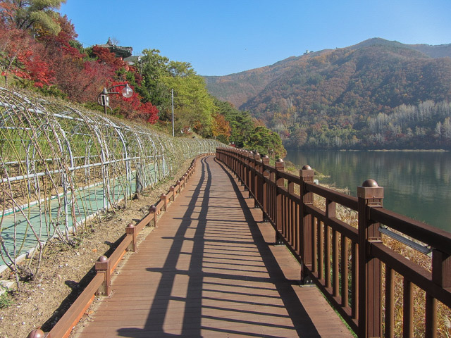 韓國丹陽南漢江畔第四散步道(江邊路) 秋天紅葉景色