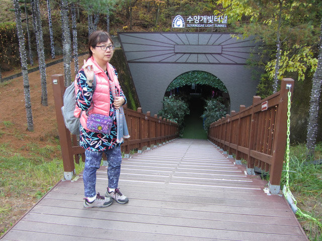 丹陽垂楊介星光隧道 (수양개빛터널 Danyang Suyanggae Light Tunnel) 入口