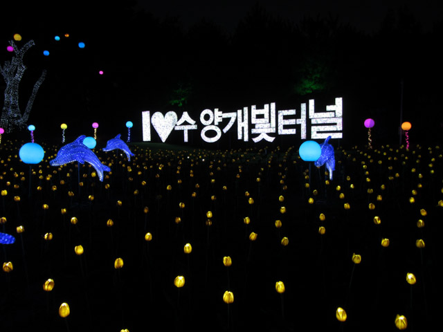 韓國丹陽垂楊介星光隧道 LED 公園晚間景色