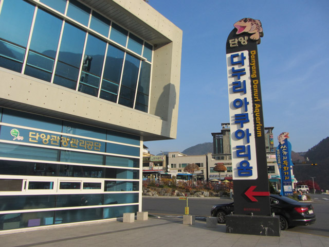 韓國丹陽 Danuri 水族館