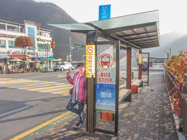 韓國丹陽 Danuri 水族館前巴士站