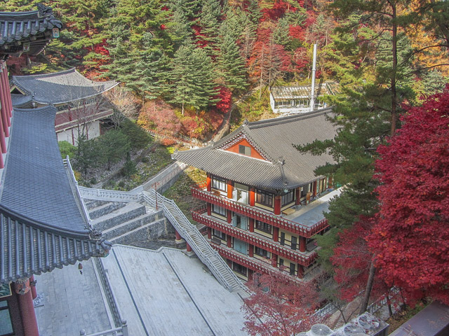 韓國丹陽 小白山谷中的 救仁寺 秋天紅葉景色