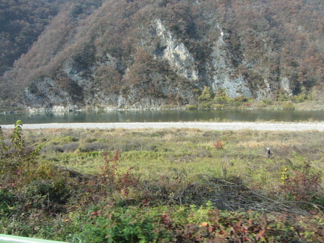 韓國丹陽 蘆葦林 (고운골남한강갈대숲)
