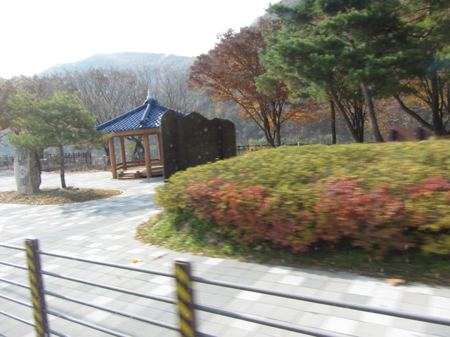 韓國丹陽 蘆葦林 (고운골남한강갈대숲)