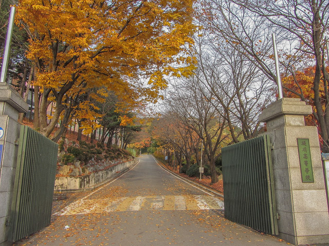 韓國忠清北道 堤川高等學校 (제천고교) 校園秋天紅葉景色