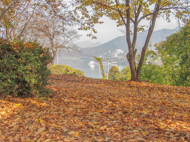 堤川忠州湖畔 秋天紅葉景色