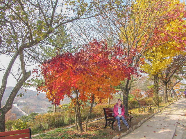 堤川忠州湖清風文化財團地 秋天紅葉、黃銀杏景色
