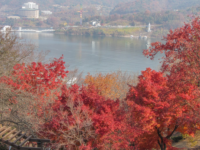 堤川忠州湖秋天紅葉
