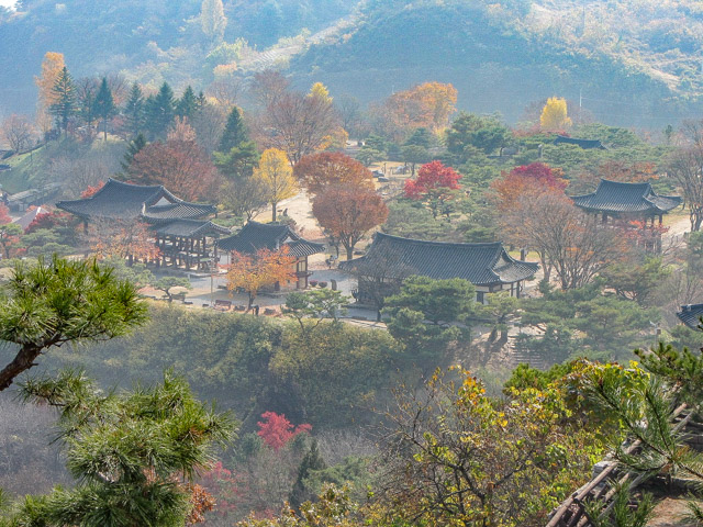 堤川清風文化財團地 秋天漂亮紅葉、黃銀杏景色