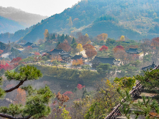 堤川清風文化財團地 秋天漂亮紅葉、黃銀杏景色
